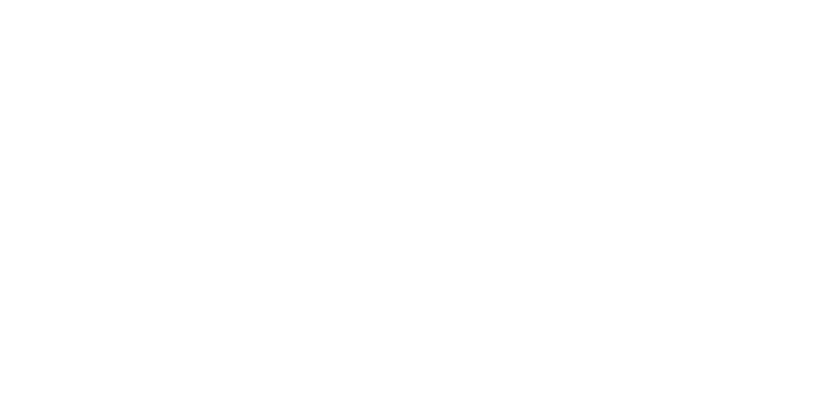 L.Silva — Casas Contentores e Modulares